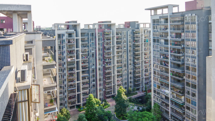 南联新村外景图