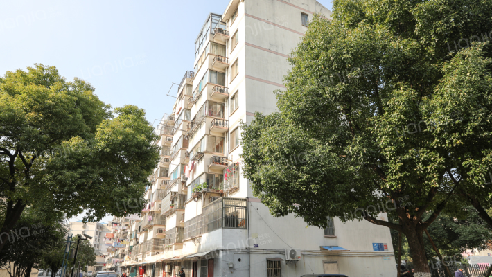 玉龙东村外景图