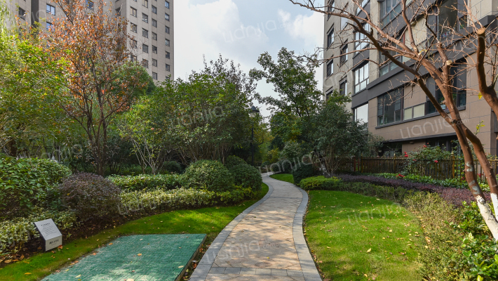 朗诗天萃外景图