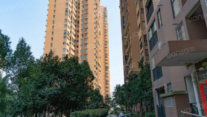 香樟鑫都外景图