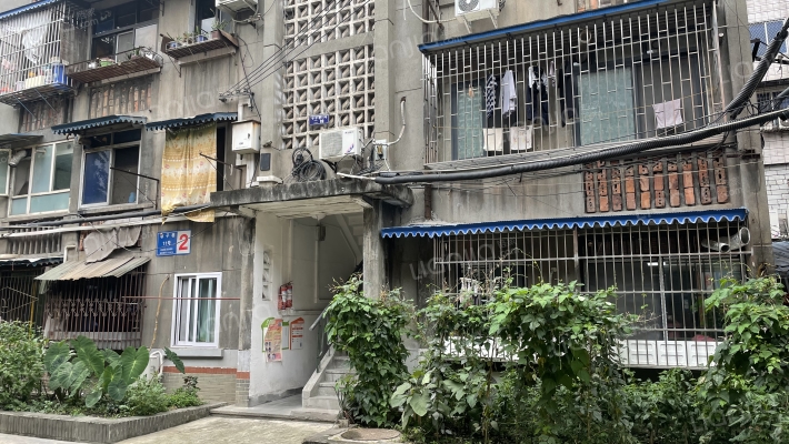 枣子巷11号外景图