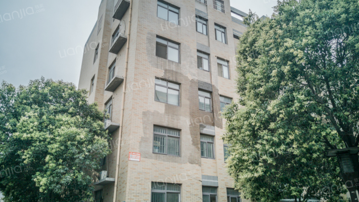 花半里东区外景图