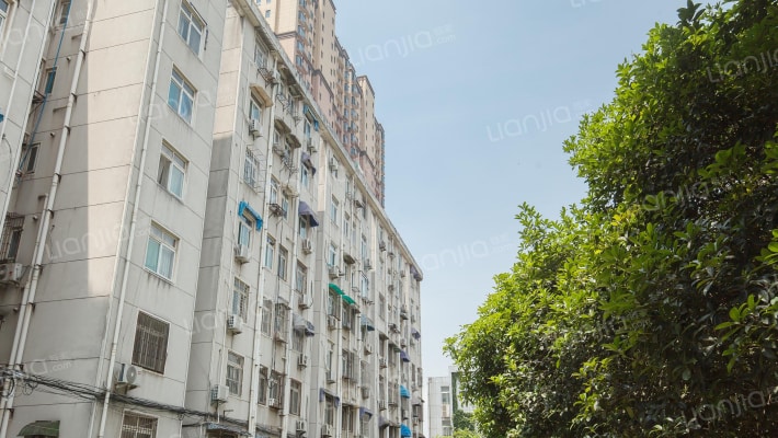 桐江新村外景图