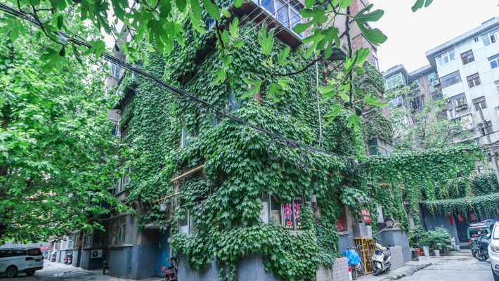 西安日报社家属院(劳卫路)外景图