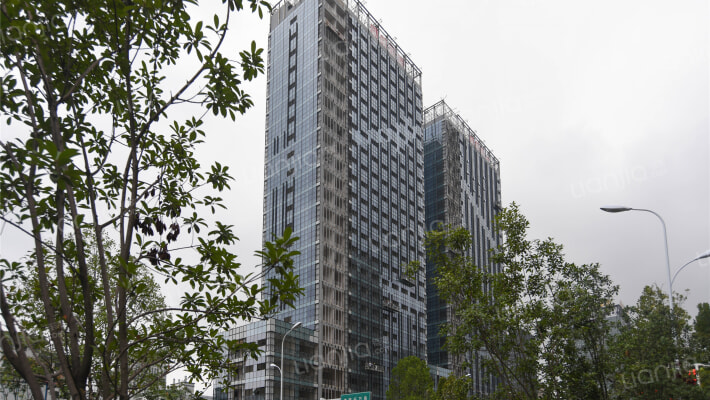 纵横国际外景图