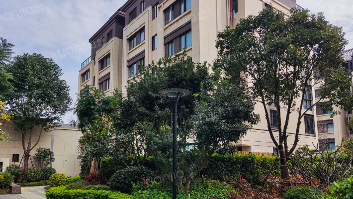 中南九锦台外景图