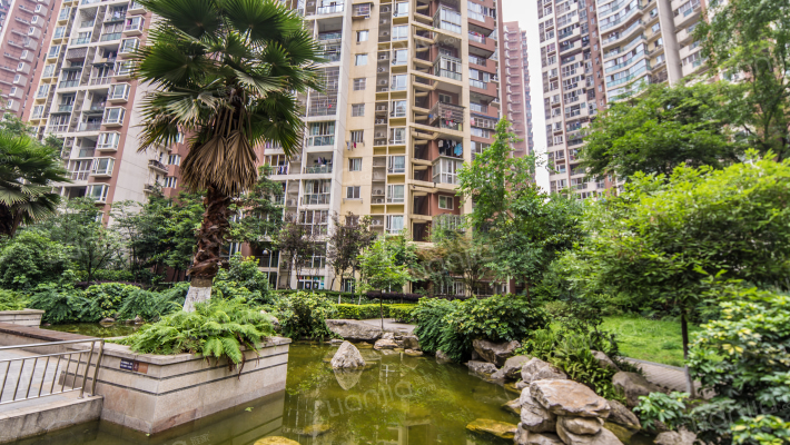 红枫岭三期外景图