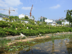 天境昆嵛中国院子实景图