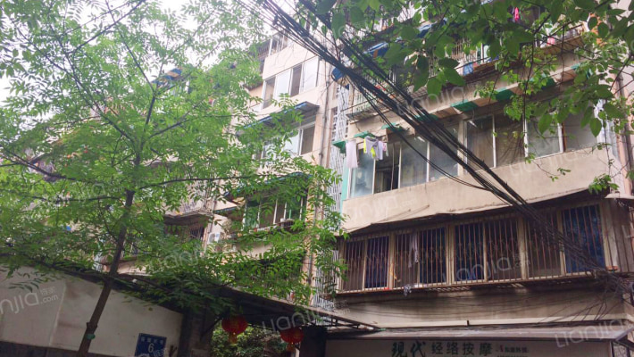 蓓蕾东巷6号外景图