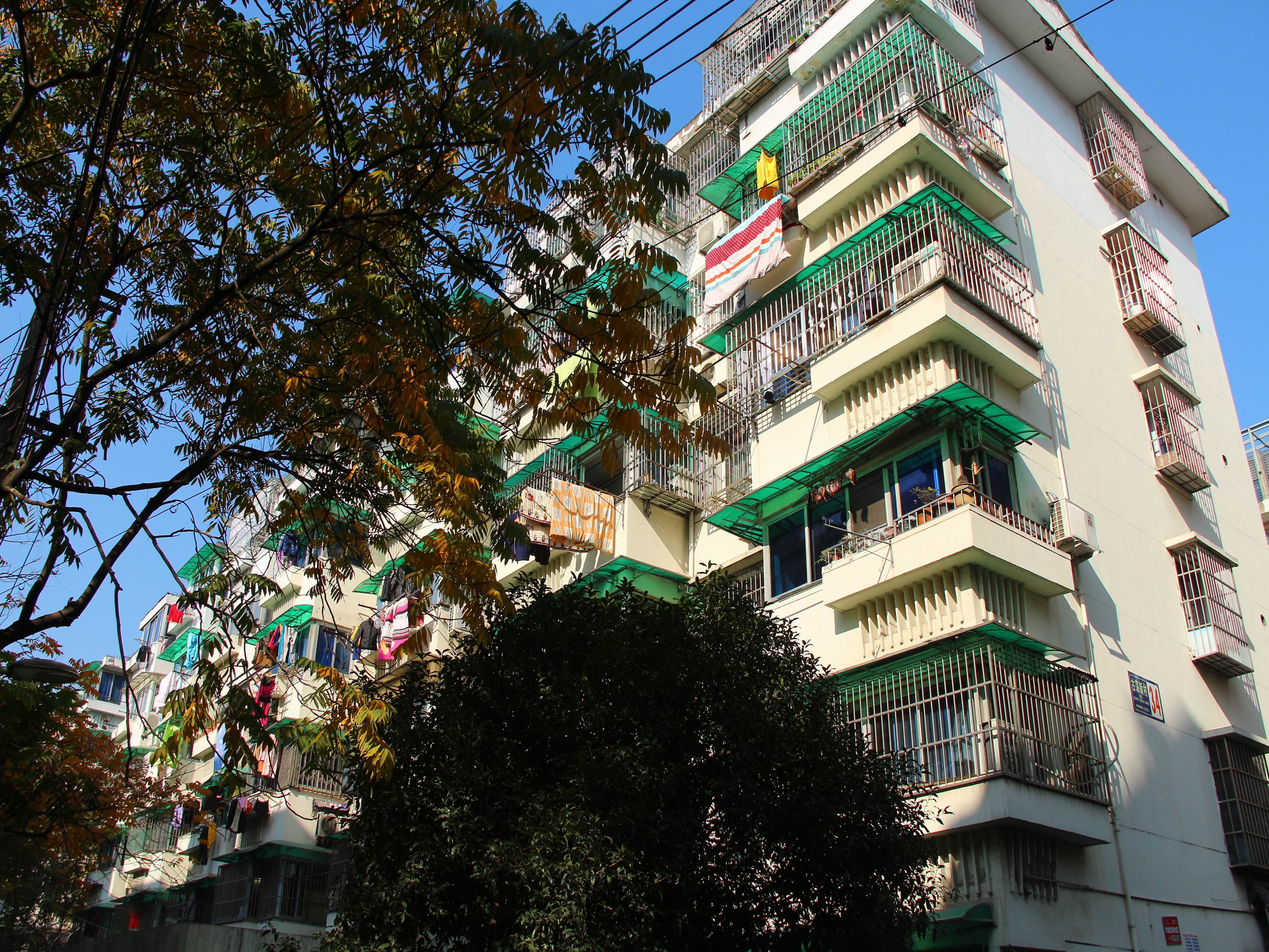古荡新村东区小区实景 19