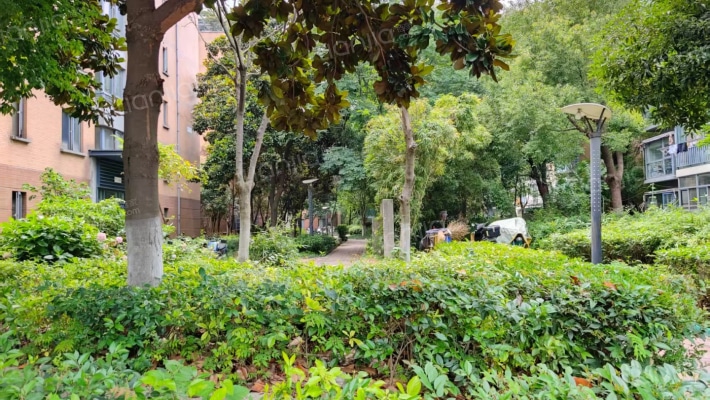 东方龙湖湾东湖苑外景图