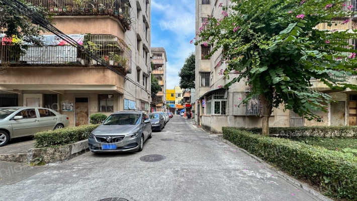 南涌新村外景图