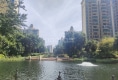 恒大御景湾户型图实景图