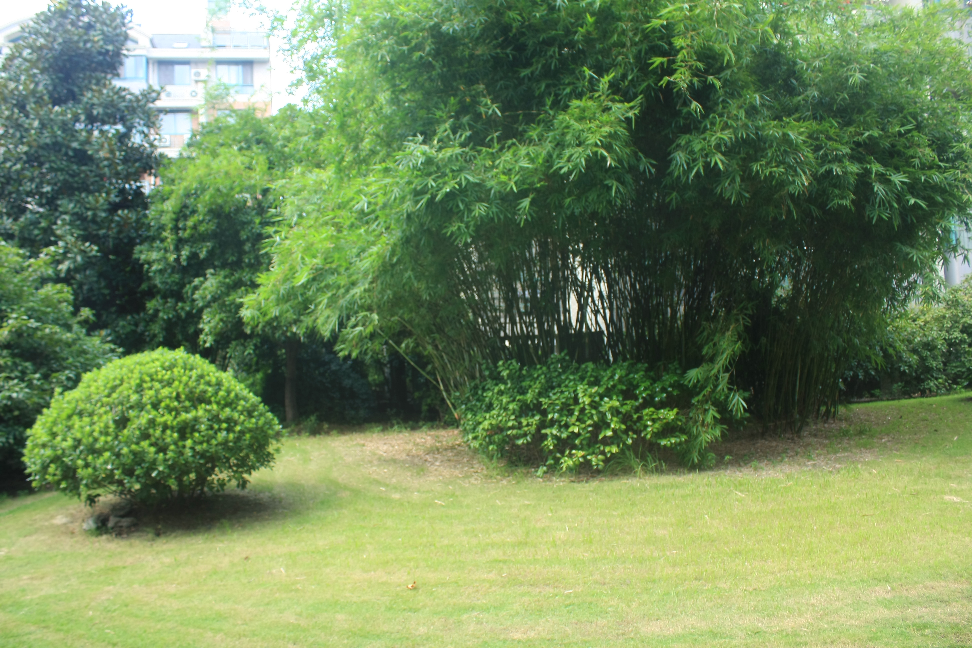 Sanhua Tianyun Garden compound photo 34