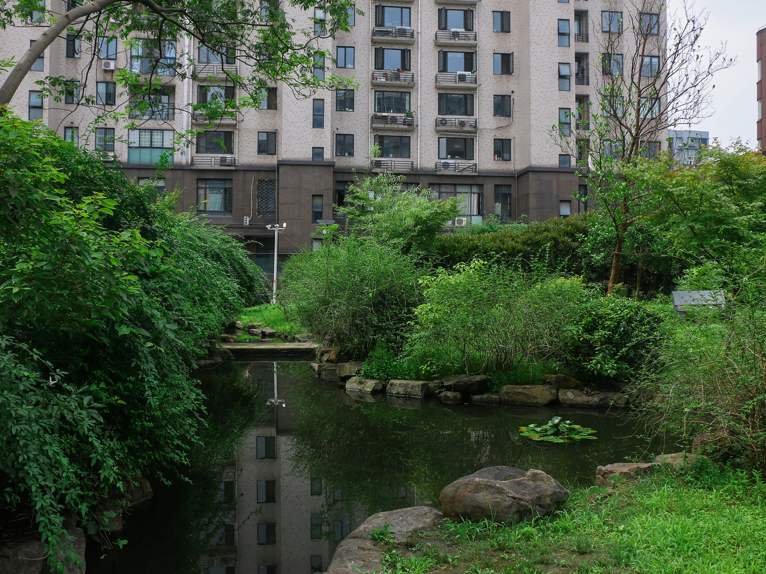 天成嘉苑小区实景 2