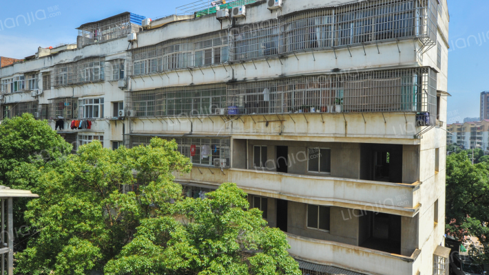 南农小区外景图