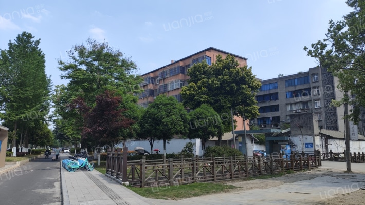 信用社家属院 外景图