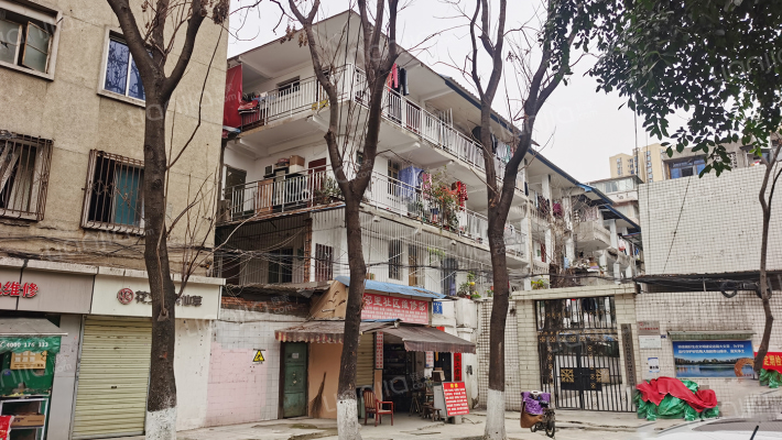 白马寺街8号外景图