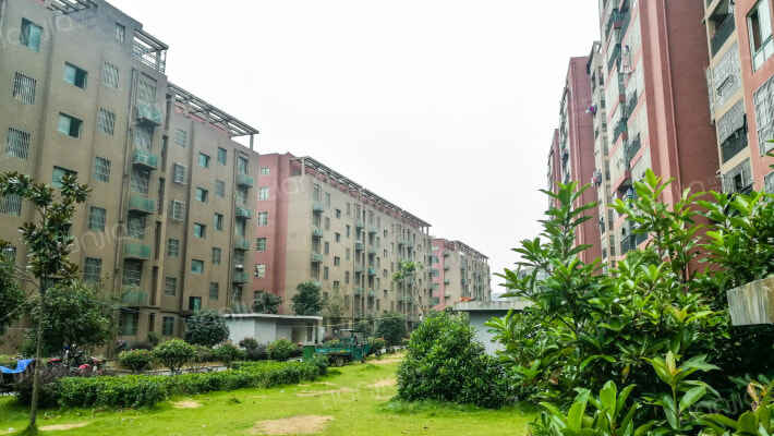 临湖雅苑外景图