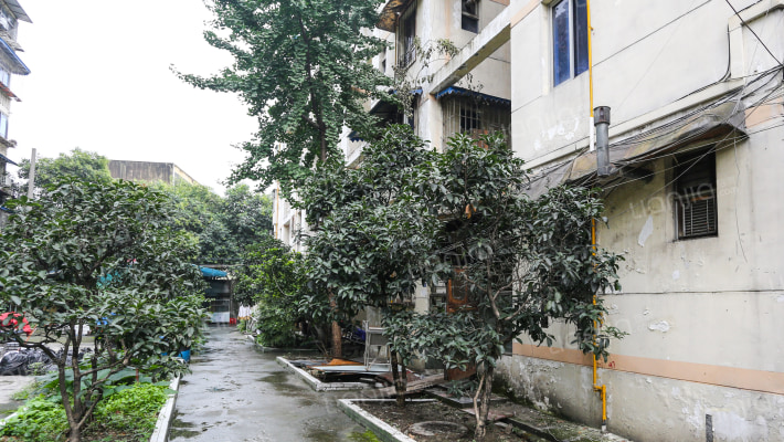 审计局宿舍外景图