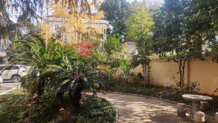 紫罗兰花苑外景图