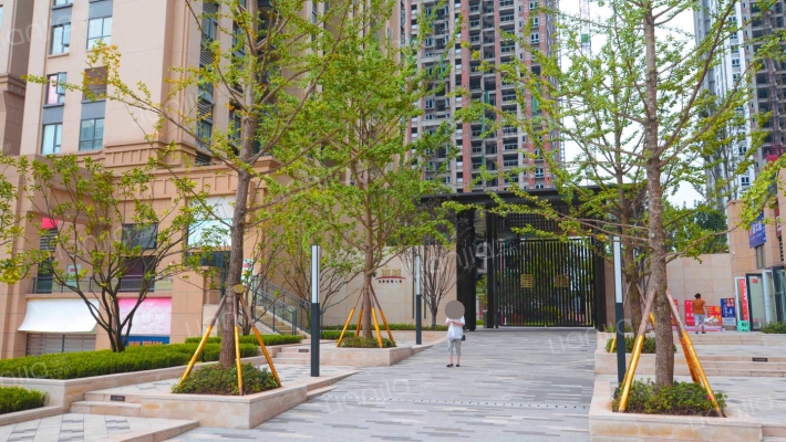 东原星樾外景图