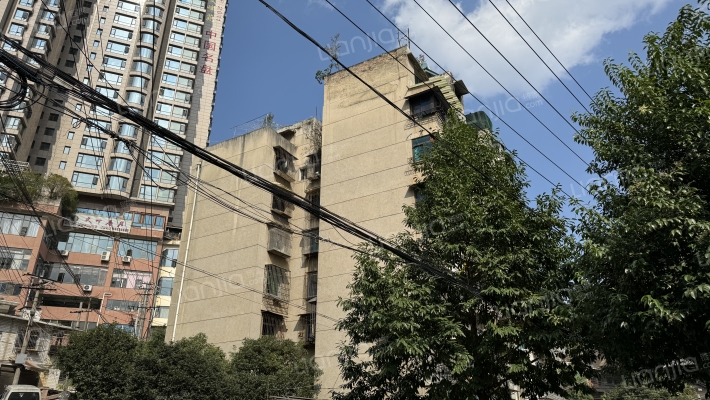 扁井东巷15号外景图