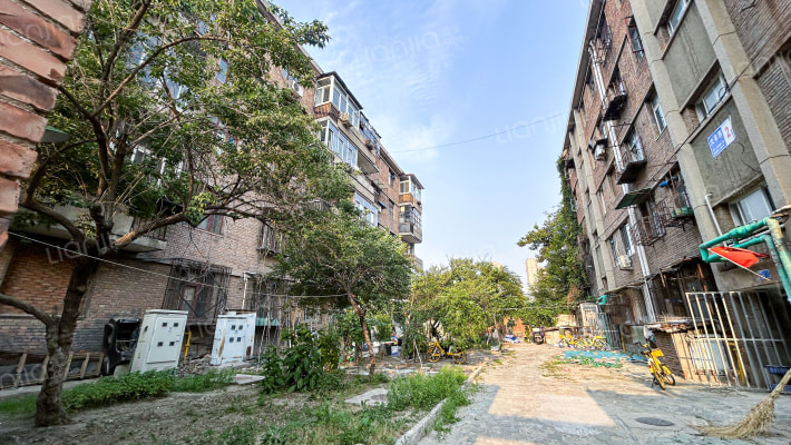 大丰西外景图