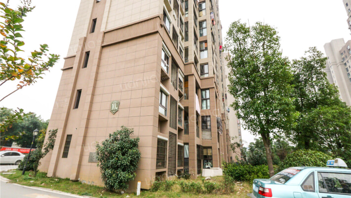 星湖花海外景图