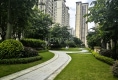 中海新城公馆户型图实景图