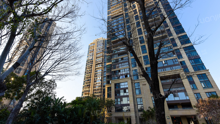 国贸天琴湾一期外景图