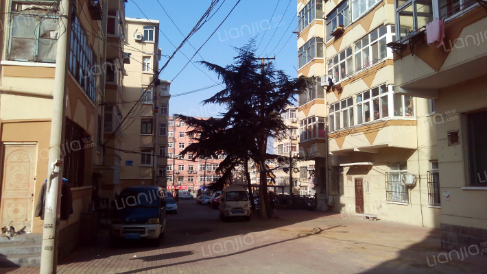 洛阳路40号小区外景图