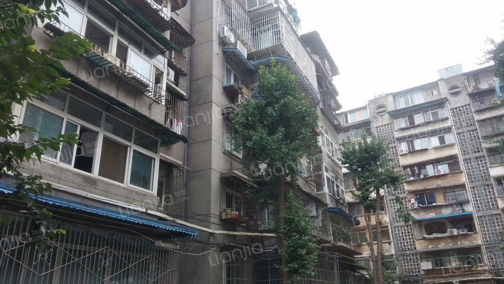 协和村22号外景图