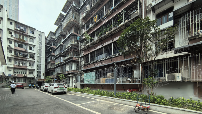 东糠市街3号外景图