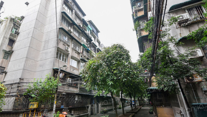 晓园新村晓园新外景图