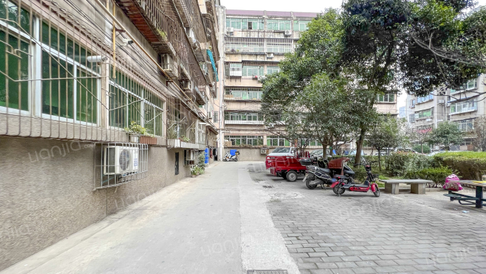 建筑小学家属院外景图