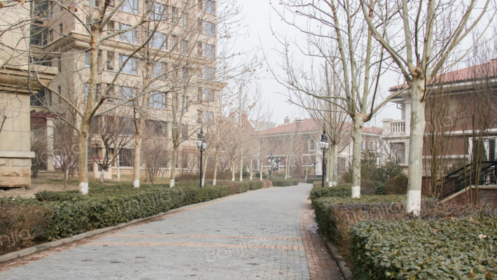 香缇花园外景图