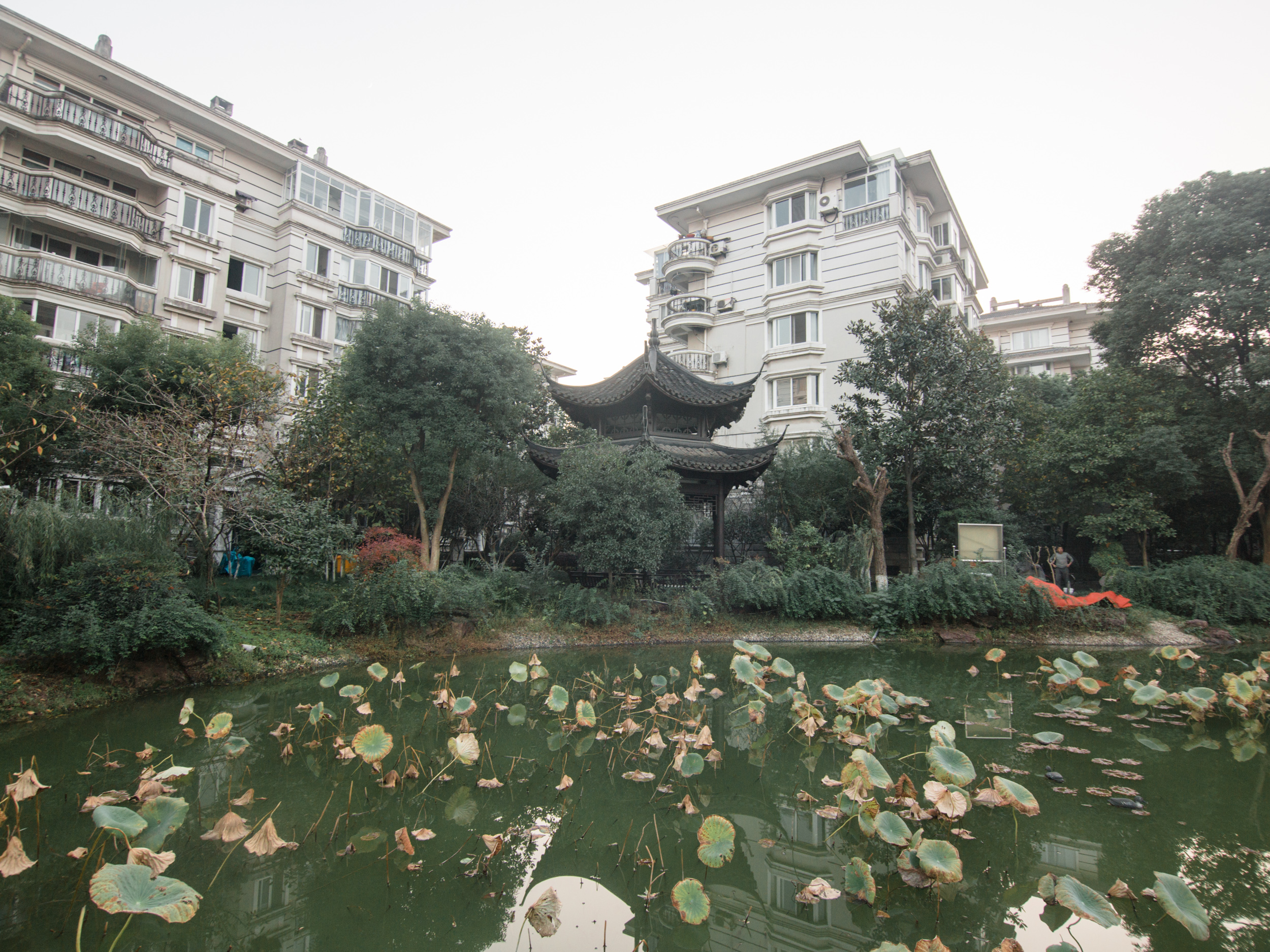 Yijing Yuan compound photo 26