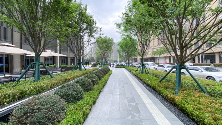 龙湖星河学樘府外景图