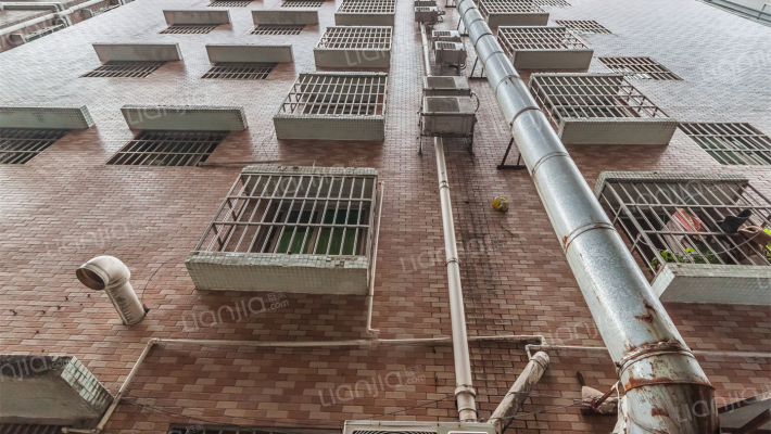 嘉联路6之三外景图