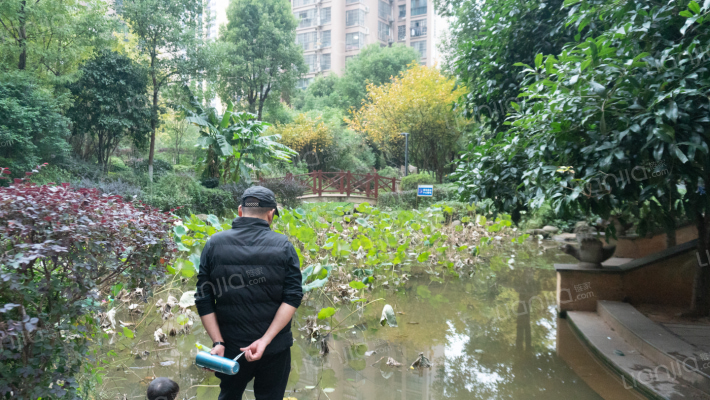 鑫科明珠外景图