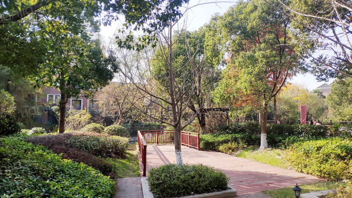 两河流域外景图