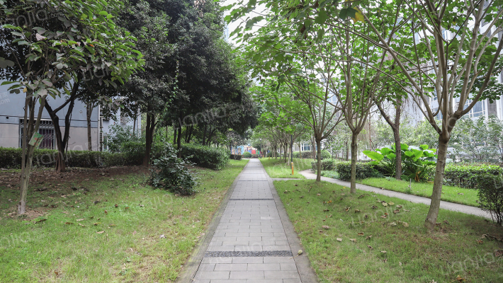 盛景龙庭外景图