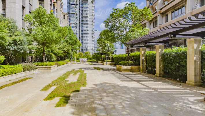 金鼎湾今朝天下外景图