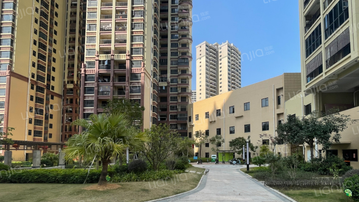 秋谷·林海外景图