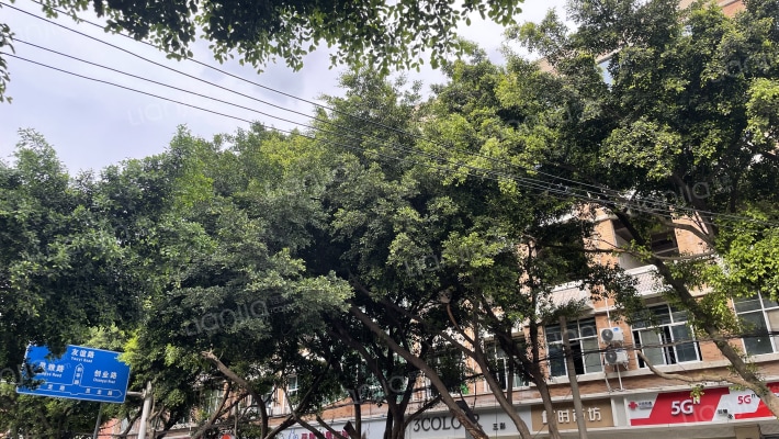 和平路84号外景图