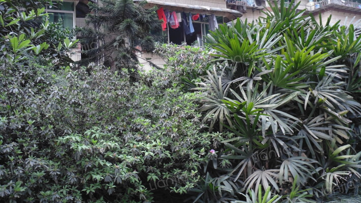 维利家园外景图