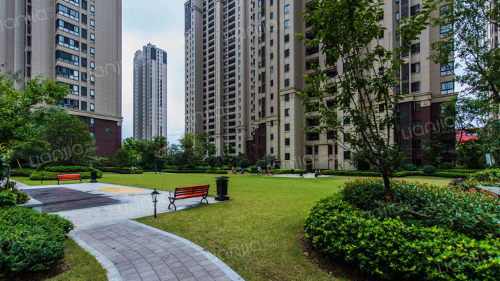 万科森林公园睿庭外景图