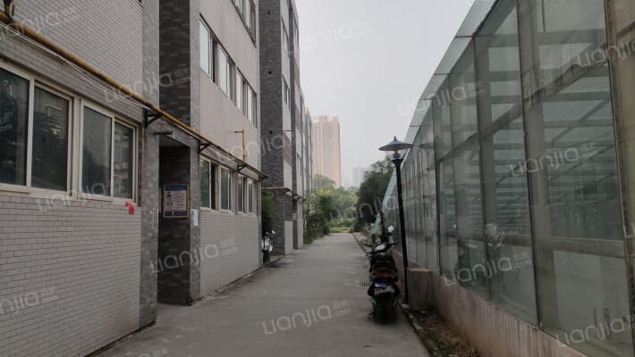 玄武花园外景图