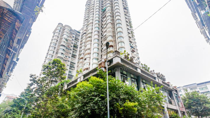 点金苑璧城大厦外景图